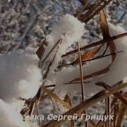 История Любви Музыка Сергей Грищук