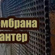 Какую Функцию Выполняет Профилированная Мембрана