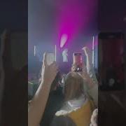 Мода Лайф Голодный Пес
