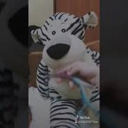 Толстый При Толстый Мой Жирный Кот После Молока Налью Тебе Компот