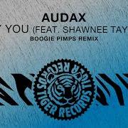 Audax Hey You Feat Shawnee Taylor Boogie Pimps Remix