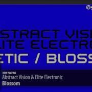 Abstract Vision Blossom