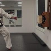 Tkd Board Break Back Kick