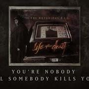 You Re Nobody