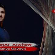 Yalnyz Goydun Perhat Atayyew