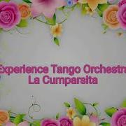 Experience Tango Orchestra La Cumparsita