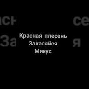 Красная Плесень Minus