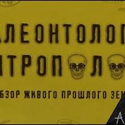 Станислав Дробышевский Палеонтология Антрополога Лекция И Презентация Книги