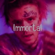 Free Lil Peep Type Beat Immortal Alternative Rock