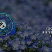 На Звонок Расцветать
