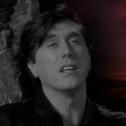 Bryan Ferry Windswept