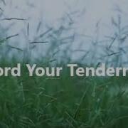 Protect Your Tenderness