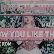 Blackpink How You Like That Русский Кавер Jackie O