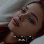 Dndm Lips Like Roses Original Mix