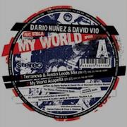 David Vio My World Feat Stella Terranova Austin Leeds Remix