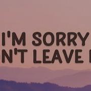 I M Sorry But Don T Worry