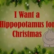 Hippopotamus