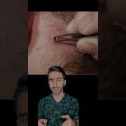 Аудиокнига Цикл Зараза 3 Королева