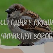 Сегодня У Окошка Чирикнул Воробей