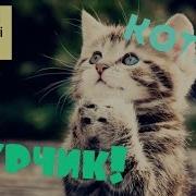 Українська Дитяча Пісня Котик Та Інші Пісні Для Дітей Українською Мовою Ukrainian Songs