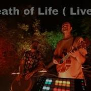 Breath Of Life Live Outdoor Performance Sina Bathaie