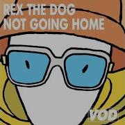 Not Going Home Original Mix Rex The Dog