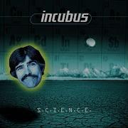 Incubus New Skin