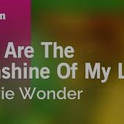 You Are The Sunshine Of My Life Karaoke