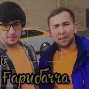 Охи Гарибача