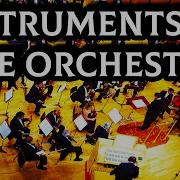 Instruments Of The Orchestra Jeremy Siepmann