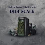 Digi Scale Feat Mike D Exclusive