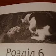 Моя Книга Коти Вояки Шлях Вогнезора