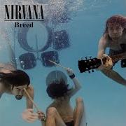 Nirvana Breed Backing Track