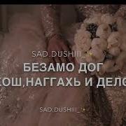 Чеченская Песня Хьан Амат Хьоьстуш Со 1Ара