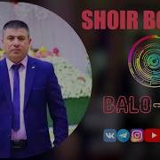 Shoir Boboev Balo Balo New2019 Music