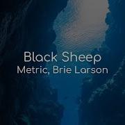 Black Sheep Lyrics