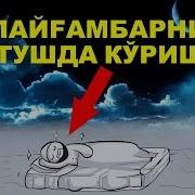 Тушда Пайfамбарларни Кўрса Бўладими