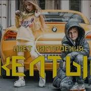 Песня Жолтий Цвет Мис Николь