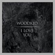 Woodkid Towers