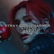 Charmer Stray Kıds Speed Up