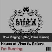 House Of Virus I M Burning Stereosoulz Remix