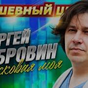 Денис Стальнов Все Песни