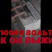 Кот И 10000 Вольт