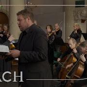 Cantata Vergnügte Ruh Beliebte Seelenlust Bwv 170 Aria Mir Ekelt Mehr