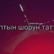 Эрлан Андашев Суйбос Болдум Жаңы Чыгарма
