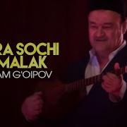 Rustam G Oipov Qora Sochi Jamalak