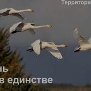 Дипак Чопра 18
