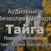 Аудиокнига Тайга