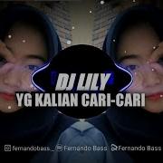 Dj Slow Lily Alan Walker Full Bass