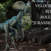 Raptor Blue Asmr